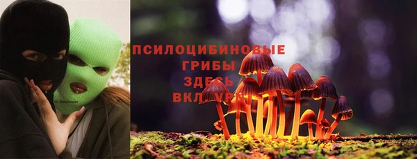 стафф Абаза