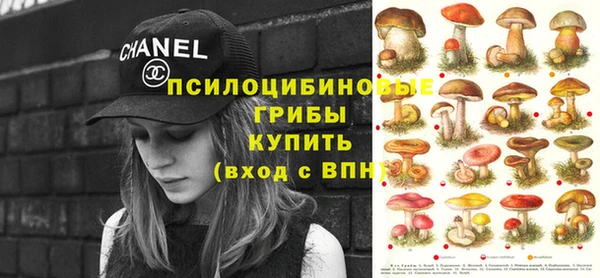 стафф Абаза