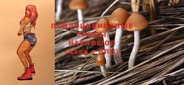 стафф Абаза